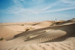 Sahara (Kameltrekking)