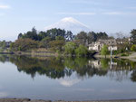 Japan (Mt. Fuji)