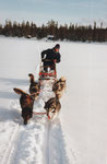 Lappland (Huskytour)