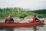 Alaska (Kanufahrt auf dem Yukon)
