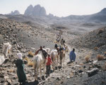 Marokko (Kameltrekking)