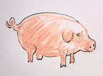 Schwein1, Stift, 13 x 15 cm