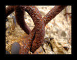 La Rouille veronique Evrard