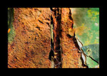 La Rouille veronique Evrard
