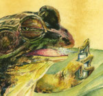 Der Froschkönig (Detail, stark vergrößert)