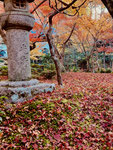 圓光寺