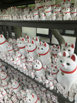 豪徳寺(東京)の招き猫は圧巻