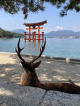 宮島旅行