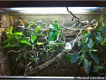 Terrarium 100*60*80cm (L*T*H)