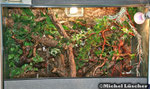 Terrarium 100*60*80cm (L*T*H)