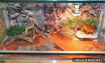 Wüstenterrarium 100*50*50cm (L*T*H)