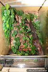 Vogelspinnenterrarium 40*40*60cm (L*T*H)