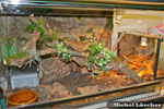 Halbtrockenterrarium 100*70*60cm (L*T*H)