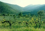 La Valle