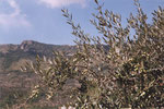 La Civitella