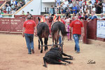 Vuelta al ruedo del 3º novillo