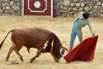 Moli de Ronda 