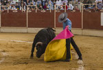 Pablo Lozano
