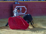 Joaquín Pellón 