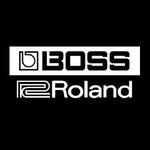 Boss Roland, Gitarren Bass Effekte & Zubehör
