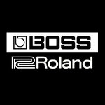 Roland Music, Gitarren und Bass Amps inklusiv Effekte 