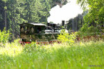 Schmalspurbahn bei Drei Annen Hohne