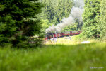 Harzer Schmalspurbahn bei Drei Annen Hohne