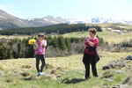 Jonquilles au lac de Guéry