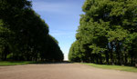 Le parc de Tsarkoïe Selo (village de tsar)