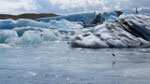 Icebergs du JokulSarlon