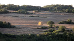 7:50 - Après la moisson sur les Côtes de Clermont