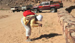 La petite bête dans le sable du Wadi Rum