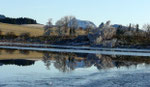 Etang de Pulvérière en janvier 2009 (63)