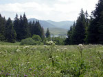 Le lac vu en descendant du chalet de la Maison des Fleurs d'Auvergne