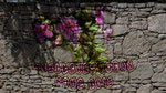 Version tag