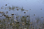 Lac d'En-haut