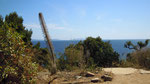 Iles du Levant et de Port-Cros vues du Rayol