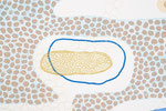 detail: series: cytoplasmic (2020) 35x50cm 12-color screenprint photo: Naiwei Tian