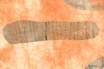 detail:Nr. 55 (2021) series:“transmission and transparency“  50x65cm intaglio from cardboard, foil, tape photo: Naiwei Tian