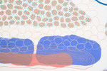 detail: series: cytoplasmic (2020) 35x50cm 12-color screenprint photo: Naiwei Tian