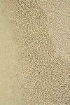 detail: organism (2022) 130x200cm acrylic and gouache on canvas photo: Naiwei Tian