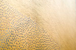 detail:Gold 1 (2021)  150x300cm (diptych) acrylic and gouache on canvas photo: Naiwei Tian