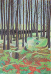 Grenze 2022, Mischtechnik mit Pastellkreide, 50x35cm