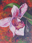 430 PB Orchidee, Acryl auf Hartfaser, 2014, 30x40 cm, 150 Euro