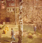 Der Garten war traurig und verwildert