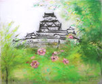 牡丹桜と姫路城