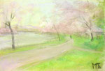 大阪　桜の宮