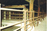 Die Verladerampe und Absperrgitter beim Bahnhof St.Johann für die Schlachthof-Tiere des ACV und der Stadt,1983