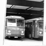 Verschiedene BVB-Busse in der Garage Rankhof, 1970