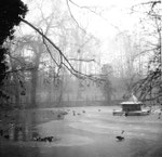 Lange Erlen, Der Ententeich im harten Winter 1962/1963 (wochenlang bis 20 Grad unter Null)